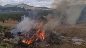 quemas-agricolas-en-murcia-2023-un-problema-ambiental-que-requiere-atencion-urgente