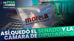 diputados-elecciones-2024
