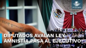 aprobacion-ley-de-amnistia