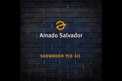 amado salvador pio xii