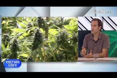 asociaciones cannábicas a domicilio