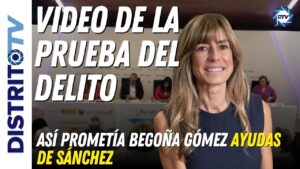auto begoña gomez pdf