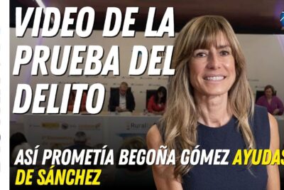 auto begoña gomez pdf