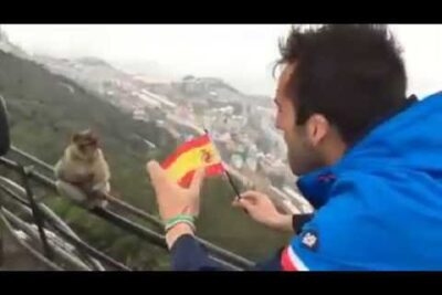 bandera gibraltar español