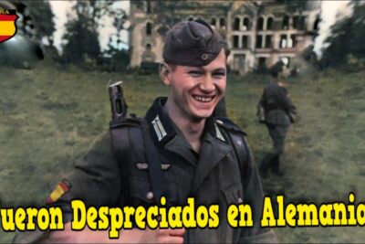 base de datos división azul