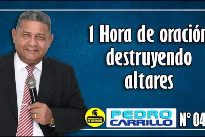 calle la sal 46 parla