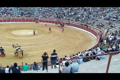 cartel toros baza 2025