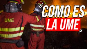 como entrar a la ume