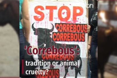 correbous catalunya 2025