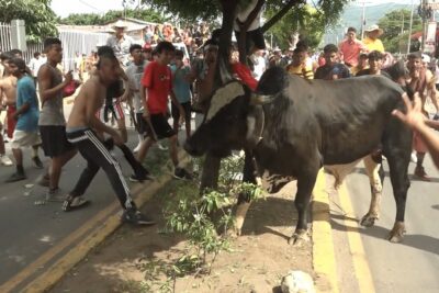 corrida de toros en granada
