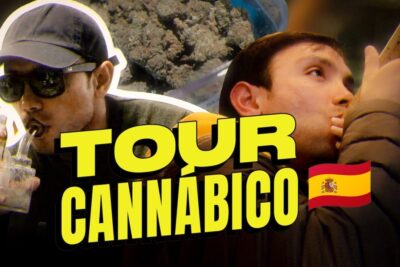 cultura cannabica madrid