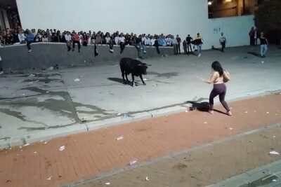 entrada toros bilbao