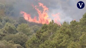 incendios zamora ultima hora