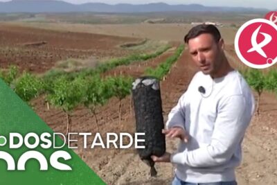infiltradores para olivar