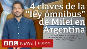 ley omnibus resumen