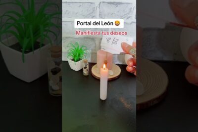 manifestación león hoy