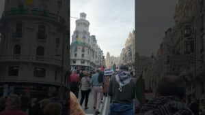 manifestación palestina madrid 27 enero