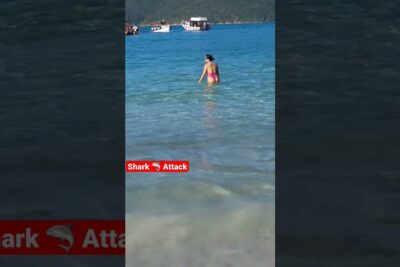 me rio de janeiro cadiz 2025