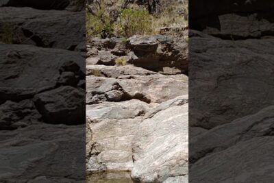 medalla de campaña 2025