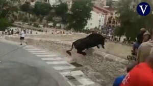 muertes por toros