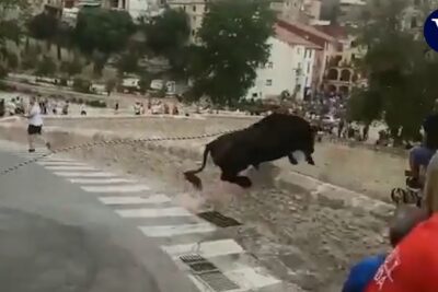 muertes por toros