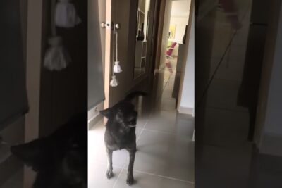 oscar sanchez moyano