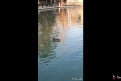 parking el retiro madrid