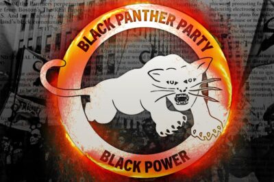 partido pantera negra