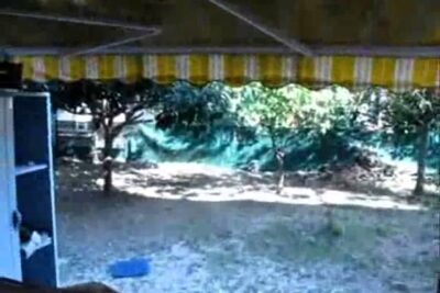 pisos de bancos sant boi