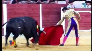 plaza de toros de baza