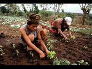 tierra alberto torres