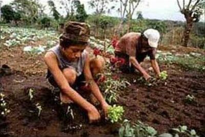 tierra alberto torres