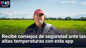 trabajos al aire libre