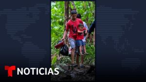 últimas noticias comarca la selva